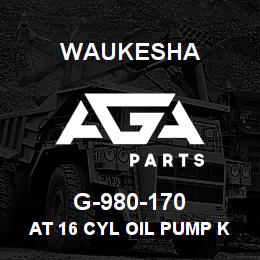 G-980-170 Waukesha AT 16 CYL OIL PUMP KIT | AGA Parts