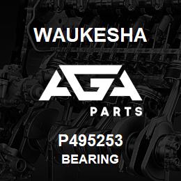 P495253 Waukesha BEARING | AGA Parts