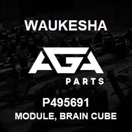 P495691 Waukesha MODULE, BRAIN CUBE | AGA Parts