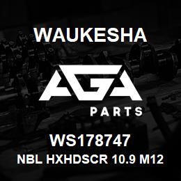 WS178747 Waukesha NBL HXHDSCR 10.9 M12X35 | AGA Parts