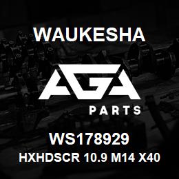 WS178929 Waukesha HXHDSCR 10.9 M14 X40 | AGA Parts