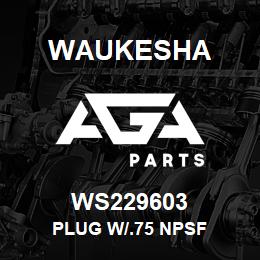 WS229603 Waukesha PLUG W/.75 NPSF | AGA Parts
