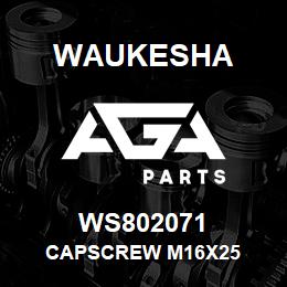 WS802071 Waukesha CAPSCREW M16X25 | AGA Parts