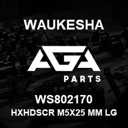 WS802170 Waukesha HXHDSCR M5X25 MM LG | AGA Parts