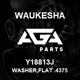 Y18813J Waukesha WASHER,FLAT .4375 | AGA Parts