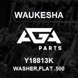 Y18813K Waukesha WASHER,FLAT .500 | AGA Parts