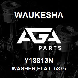 Y18813N Waukesha WASHER,FLAT .6875 | AGA Parts