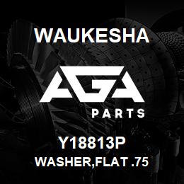 Y18813P Waukesha WASHER,FLAT .75 | AGA Parts