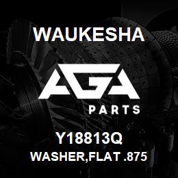 Y18813Q Waukesha WASHER,FLAT .875 | AGA Parts