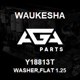 Y18813T Waukesha WASHER,FLAT 1.25 | AGA Parts