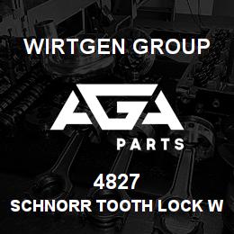 4827 Wirtgen Group SCHNORR TOOTH LOCK WASHER | AGA Parts