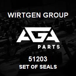 51203 Wirtgen Group SET OF SEALS | AGA Parts