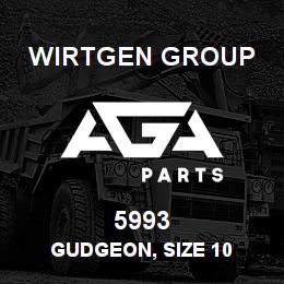 5993 Wirtgen Group GUDGEON, SIZE 10 | AGA Parts